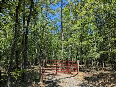 TBD Mayhand Rd, Shirley, AR 72153 - photo 6