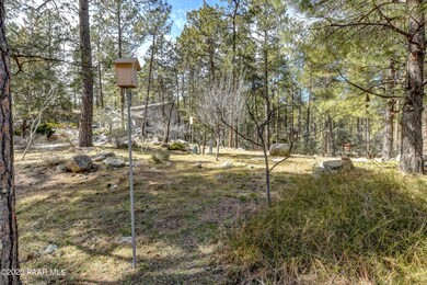 Landscaped Front Yard