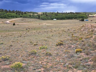 900 Remington Rd, Jefferson, CO 80456 - photo 5