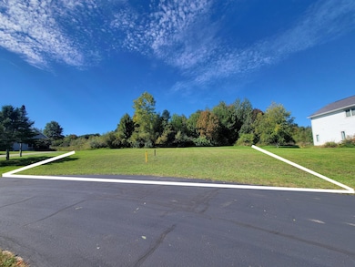 5178 Shore View Cir, Bingham Township, MI 49682 - photo 3