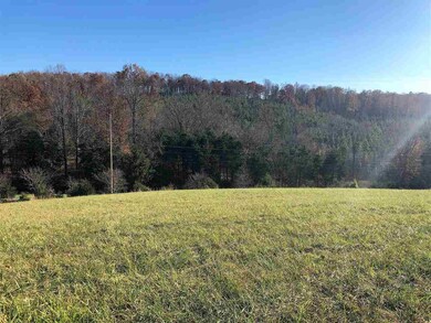 0 Forest Grove Rd unit 569410, Lexington, VA 24450 - photo 7