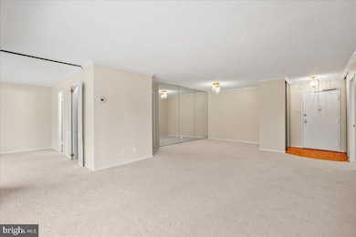 203 Yoakum Pkwy unit 519, Alexandria, VA 22304 - photo 7