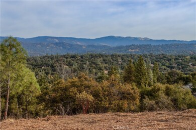 1 Stillmeadow Ln, Oakhurst, CA 93614 - photo 6