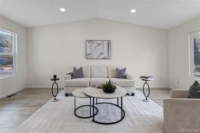 21807 Silver Meadow Cir, Parker, CO 80138 - photo 6