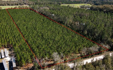 TBD 77th Rd, O'Brien, FL 32071 - photo 5