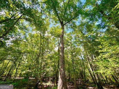 0 Abbeville Hwy, Pineview, GA 31071 - photo 6