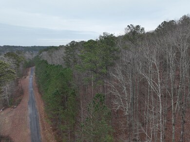 0 Henderson Rd unit 25381724, Odenville, AL 35120 - photo 5