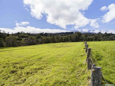 1040 Olinda Rd unit 3, Makawao, HI 96768 - photo 7