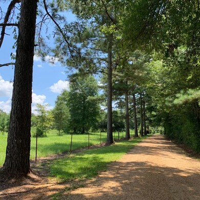 unlisted-address, Tylertown, MS 39667 - photo 3