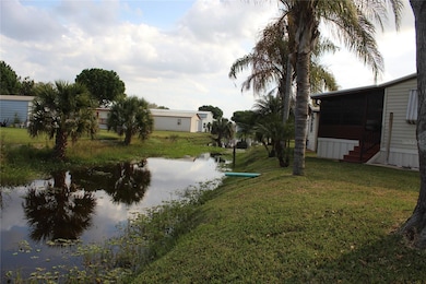 Canal behind home lined with palm trees