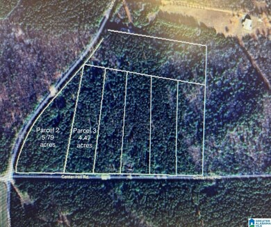 0 Center Hill Rd unit 5.79 acres, Delta, AL 36258 - photo 4