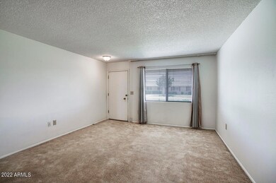 11146 W Emerald Dr unit 15C, Sun City, AZ 85351 - photo 3