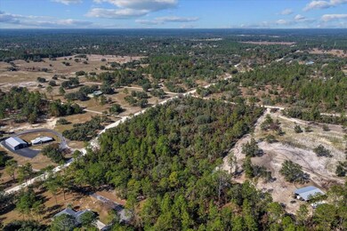 TBD NE 127 Ct, Williston, FL 32696 - photo 6