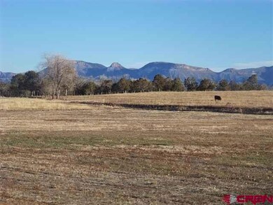0 Road N 8 Loop Lot unit 13 705598, Cortez, CO 81321 - photo 6