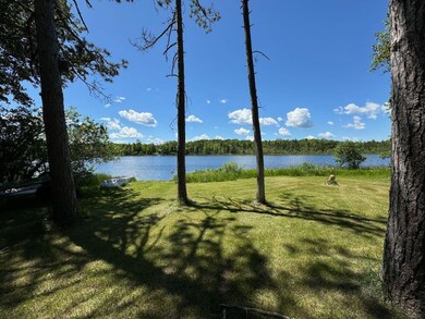 25906 Jackpine Cutoff Rd NE, Blackduck, MN 56630 - photo 7