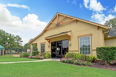 18637 Birch Orchard Ct, Magnolia, TX 77355 - photo 7