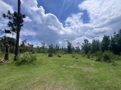 8075 Pinetree Dr, Donalsonville, GA 39845 - photo 5