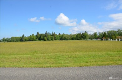 0 324th St NW, Stanwood, WA 98292 - photo 3