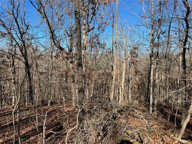 0 Chatburn Ln, Bella Vista, AR 72715 - photo 4