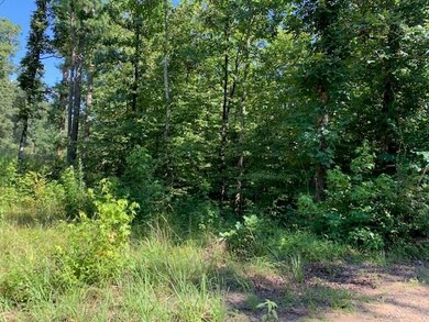 0 Lucian Sorrel Rd, Broken Bow, OK 74728 - photo 2