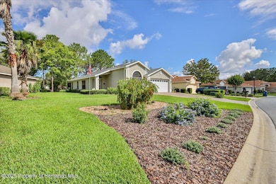 11409 Deercroft Ct, Spring Hill, FL 34609 - photo 3