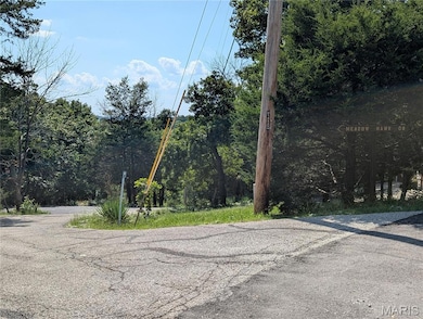 16501 Meadow Hawk Dr, Glencoe, MO 63038 - photo 5