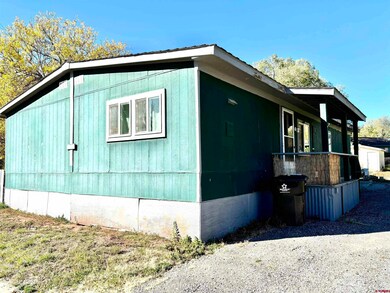 1 Lomas, Durango, CO 81301 - photo 3
