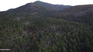 77 E Ski Run Rd, Williams, AZ 86046 - photo 3