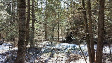 0 Moody Mills Rd unit 1616239, Corinna, ME 04928 - photo 4