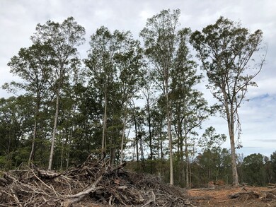 1784 Hartwell Hwy, Elberton, GA 30635 - photo 3