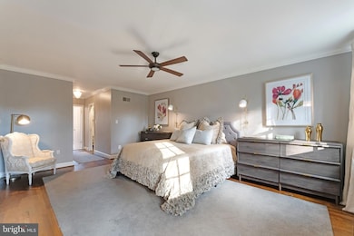 706 Blueberry Hill Rd, McLean, VA 22101 - photo 4