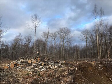 0 N Haney unit 1346092, Danforth, ME 04424 - photo 4