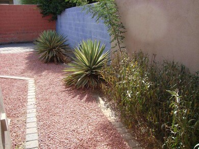 Back yard West Wall
