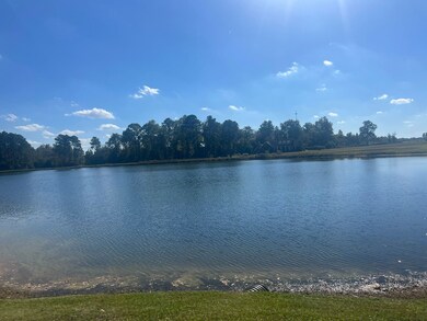 0 Belflower Rd unit 25624433, Tifton, GA 31794 - photo 2