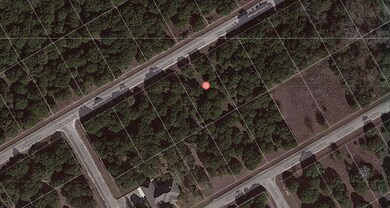 43021 Whisperwood Dr unit Whitney TX 76692, Whitney, TX 76692 - photo 4