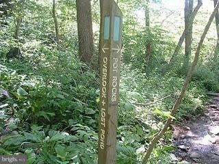 5300 Forge Rd, White Marsh, MD 21162 - photo 4