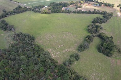 TBD-A County Road 435, Frankston, TX 75763 - photo 4