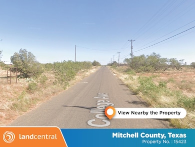 College Ave, Colorado City, TX 79512 - photo 2