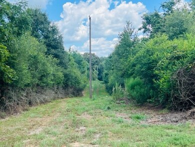 76 Tom Warner Rd, Tylertown, MS 39667 - photo 4