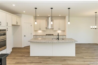 226 Talbot Way, Wentzville, MO 63385 - photo 5