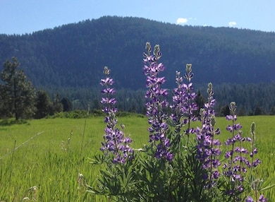 2069 A Johnson Rd, Rice, WA 99167 - photo 2