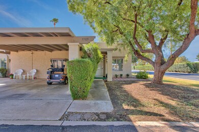 7709 E Mariposa Way unit 100, Mesa, AZ 85208 - photo 4