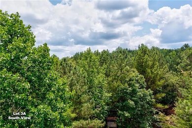 Taken at Tree Level 27ft