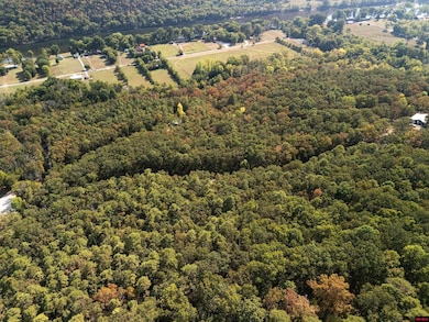 001-01299-000 Dwelle Rd, Norfork, AR 72658 - photo 2