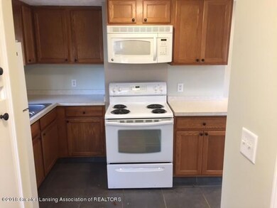 3021 Pleasant Grove Rd, Lansing, MI 48910 - photo 4