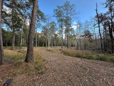 580 County Road 061 unit 580 County Road 061, Jasper, TX 75951 - photo 5