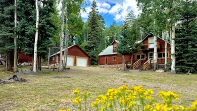 0 Forest Rd unit 816984, Del Norte, CO 81132 - photo 2