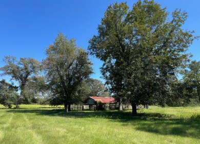 BARN VIEW #3