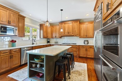 143 N Walnut St, Elmhurst, IL 60126 - photo 5