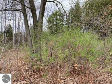 Lot 9 Rivershore Dr unit 9, Elk Rapids, MI 49629 - photo 4